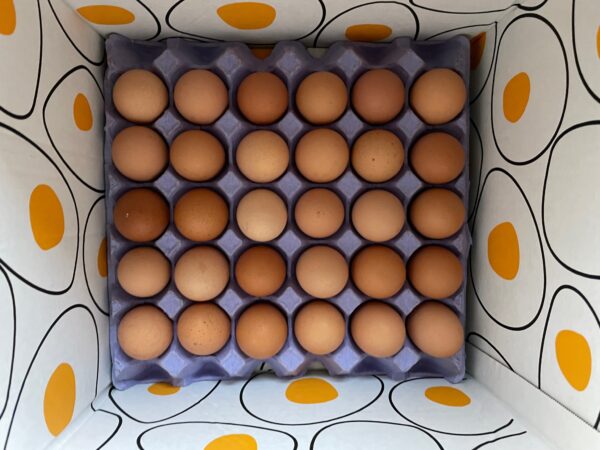lake macquarie free range eggs sydney home delivery